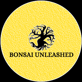Bonsai Unleashed Sunshine Coast